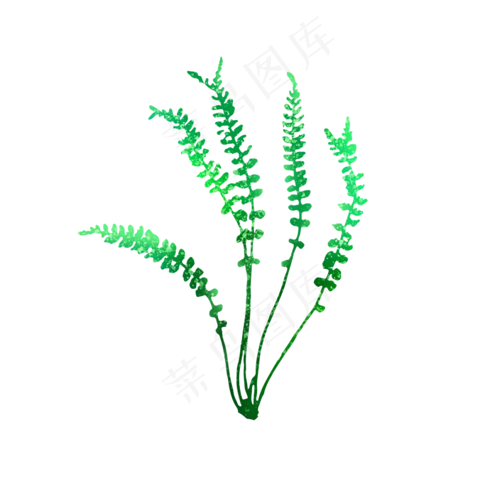 绿色蕨类植物叶子可商用元素(2000X2000(DPI:150))psd模版下载