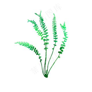 绿色蕨类植物叶子可商用元素