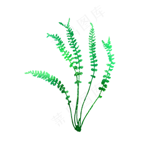 绿色蕨类植物叶子可商用元素
