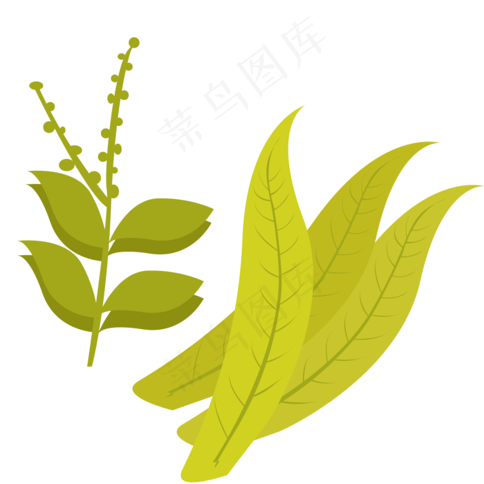 绿植绿色春季植物(2000X2000(DPI:300))psd模版下载