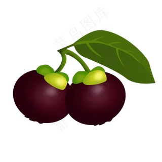 两个精致手绘山竹psd透明底