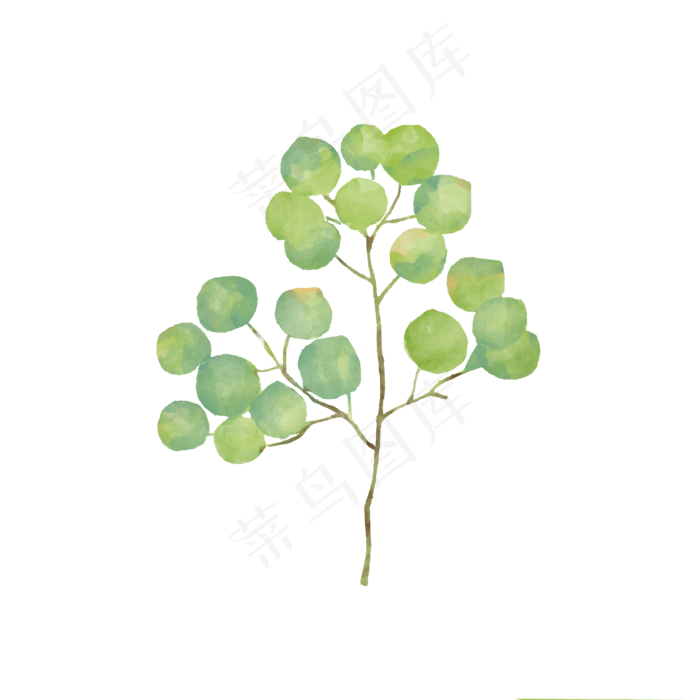 绿植免抠元素下载