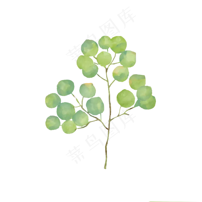 绿植免抠元素下载(4000X4000(DPI:300))psd模版下载