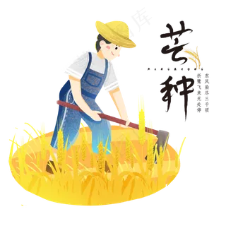 芒种麦子劳作耕地
