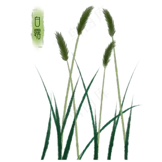 卡通绿色狗尾巴草免抠图