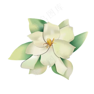 矢量手绘风美丽清新栀子花可商用
