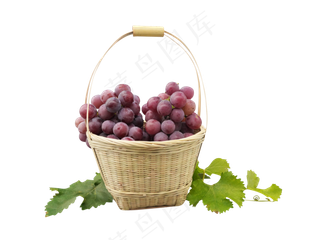 手提果篮紫葡萄
