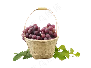 手提果篮紫葡萄