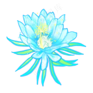 光感彩色荧光唯美花朵,免抠元素