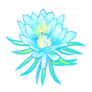 光感彩色荧光唯美花朵,免抠元素