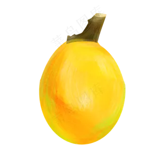 新鲜黄色枇杷 新鲜黄色枇杷