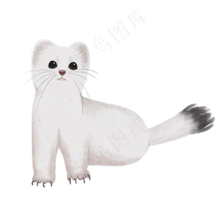 可爱动物白狐灵兽雪狐,免抠元素