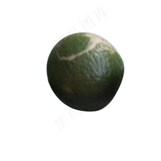 一个深绿色的青柠