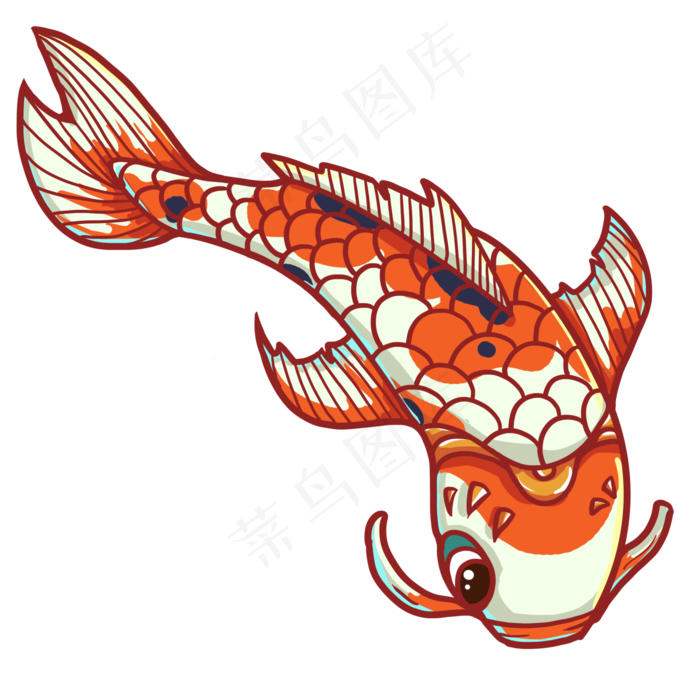 游动的橘色锦鲤