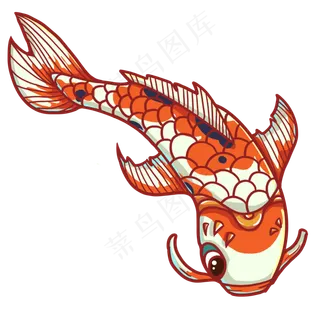 游动的橘色锦鲤