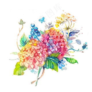 绣球花彩色彩虹缤纷PNG花卉花 绣球花彩色彩虹缤纷PNG花卉花