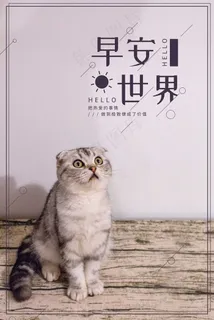 早安世界清新文艺问候语 早安世界清新文艺问候语