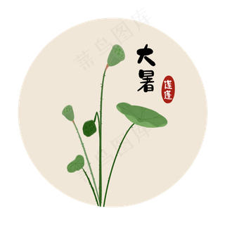 大暑莲蓬