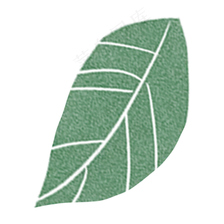 一片绿色的叶子