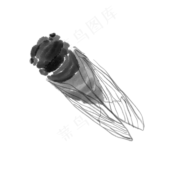 水墨水彩中国风蝉