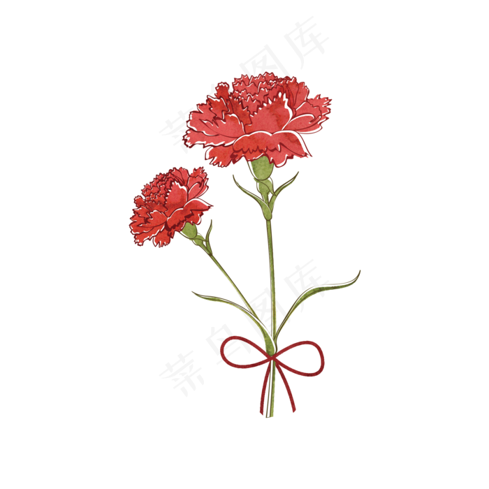 花花朵花色花瓣康乃馨红色(2000X2000(DPI:300))psd模版下载