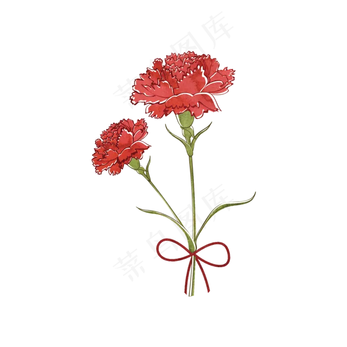 花花朵花色花瓣康乃馨红色(2000X2000(DPI:300))psd模版下载