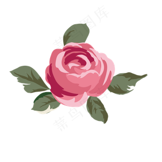 盛开的水墨红色玫瑰花免抠图