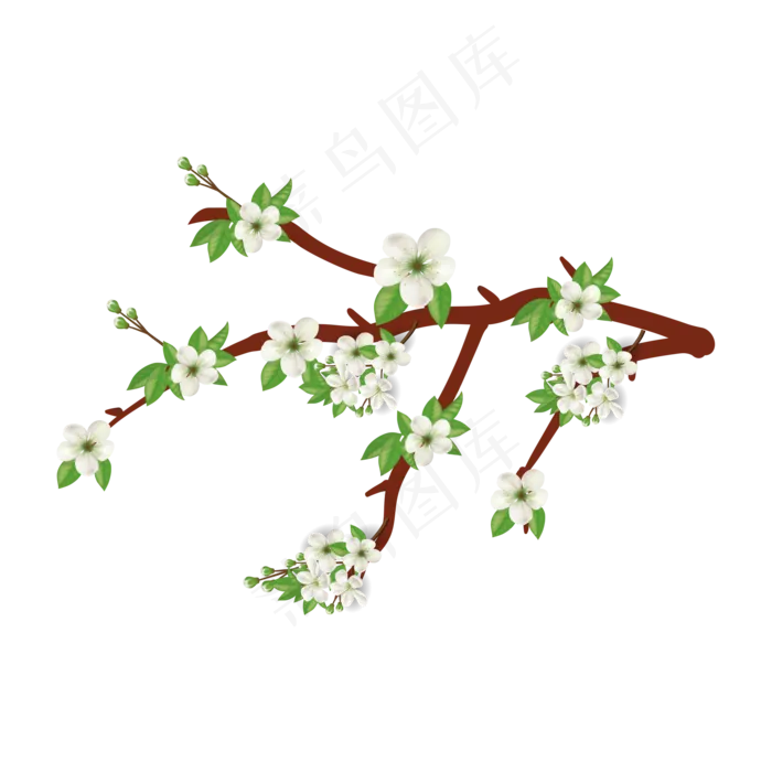 漂亮梨花花朵(2000*2000px 300 dpi )ai矢量模版下载