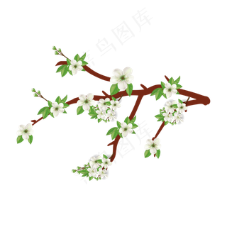 漂亮梨花花朵 漂亮梨花花朵