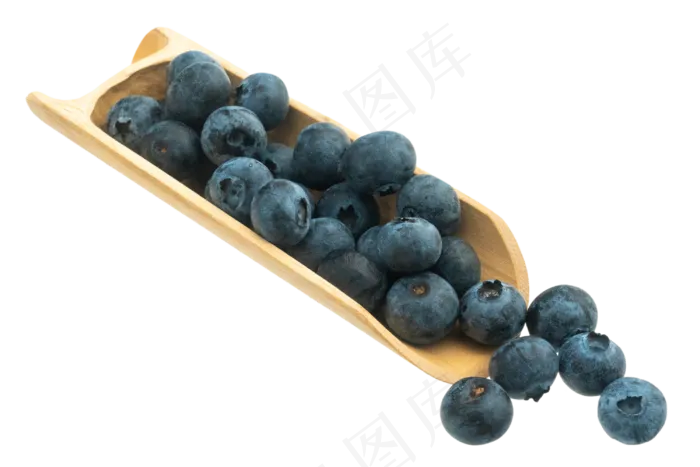 美味水果蓝莓(2500X2000(DPI:300))