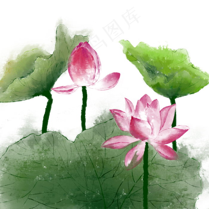 古风花卉荷花(2000X2000(DPI:300))psd模版下载