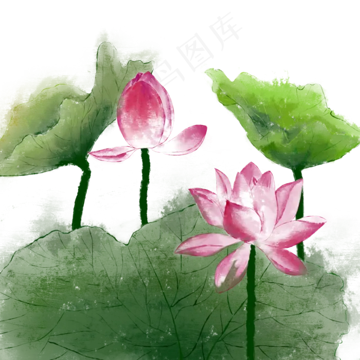 古风花卉荷花(2000X2000(DPI:300))psd模版下载