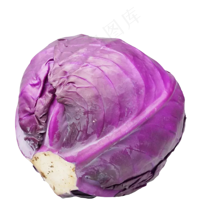 蔬菜紫甘蓝(3000*3000px 300 dpi )