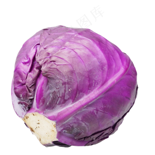 蔬菜紫甘蓝