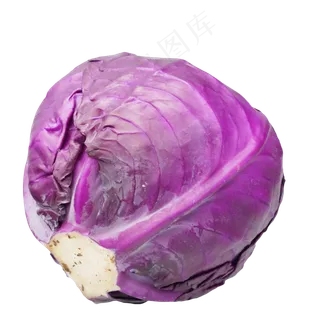 蔬菜紫甘蓝