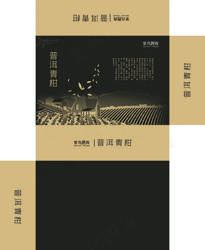 菜鸟图库原创黑色高端普洱青柑茶叶包装盒(800*1963px)psd模版下载