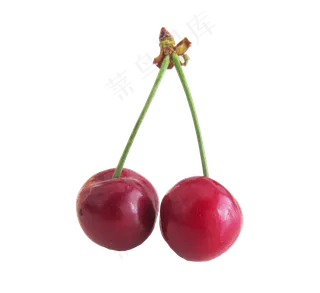水果樱桃车厘子,免抠元素