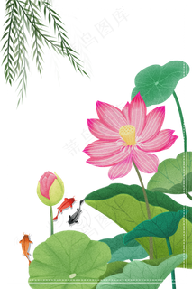 处暑之荷叶荷花主题边框,免抠元素