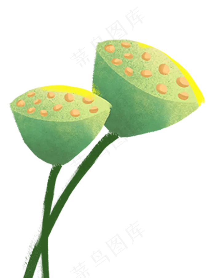 绿色莲蓬(1077X1392(DPI:300))psd模版下载