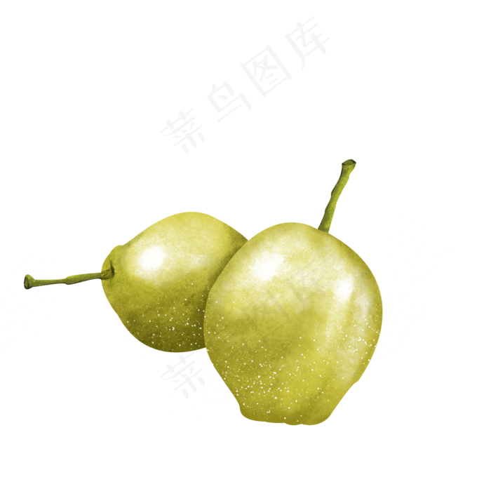绿色雪梨香梨梨子新鲜水果绿色食