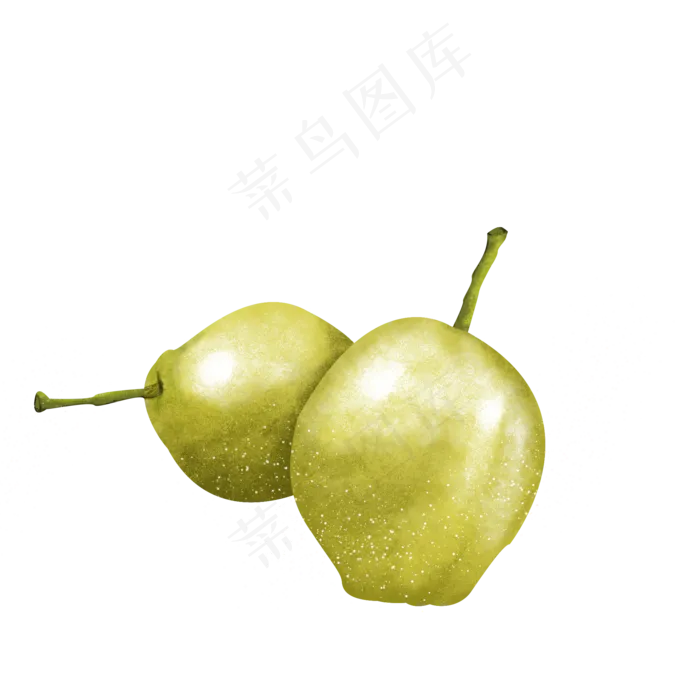 绿色雪梨香梨梨子新鲜水果绿色食(2000X2000(DPI:300))psd模版下载