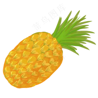 手绘新鲜可爱菠萝凤梨