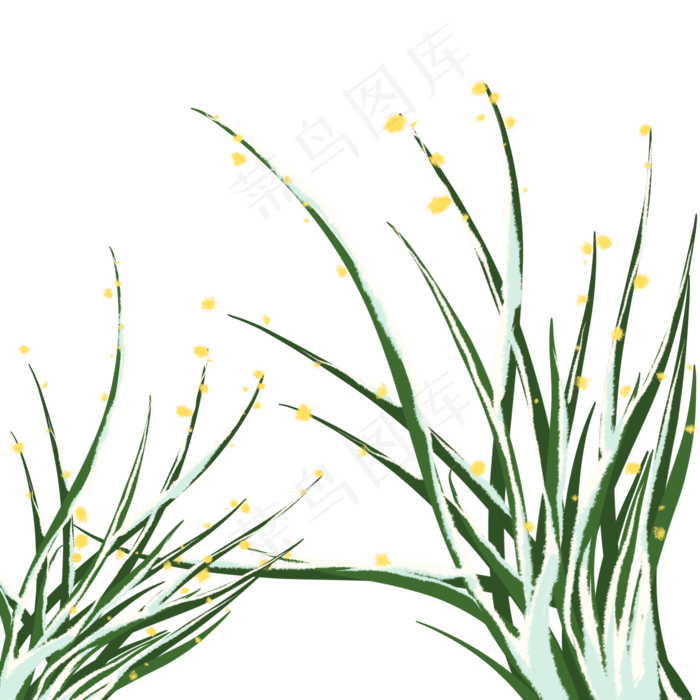 冬季植物压着雪的树叶(2048*2048px 300 dpi )psd模版下载