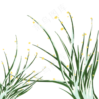 冬季植物压着雪的树叶