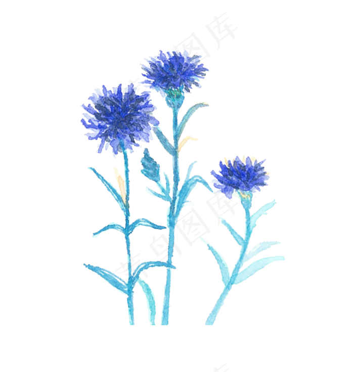 水彩植物花免抠(2480X2612(DPI:300))psd模版下载