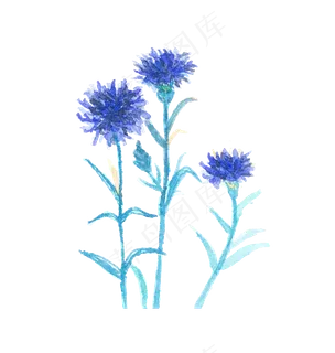 水彩植物花免抠 水彩植物花免抠