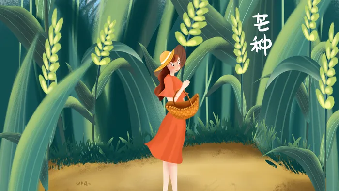 芒种小麦绿色清新横图