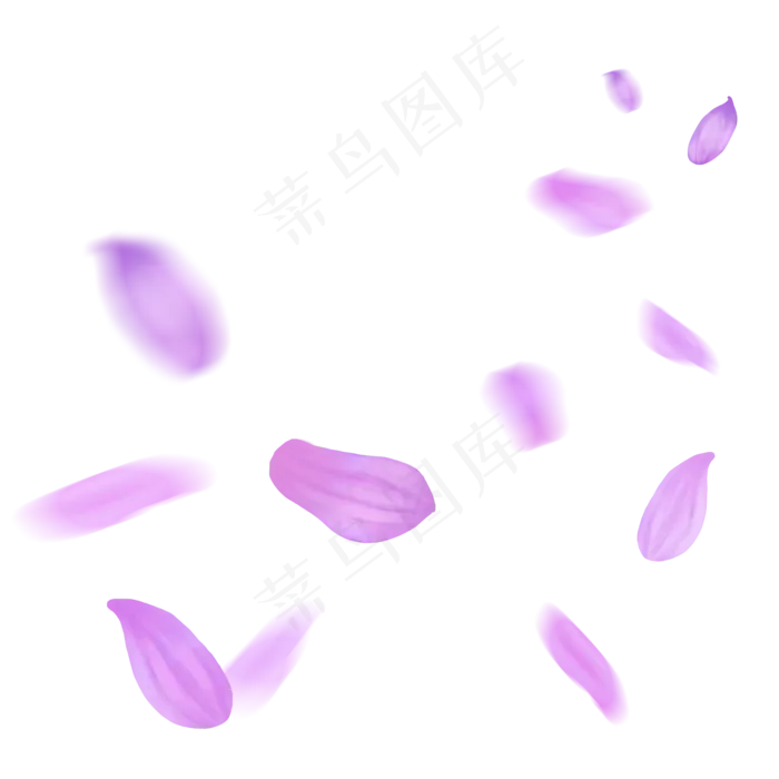 漂浮的花瓣粉紫色菊花花瓣飘落的(1024*1369px)psd模版下载