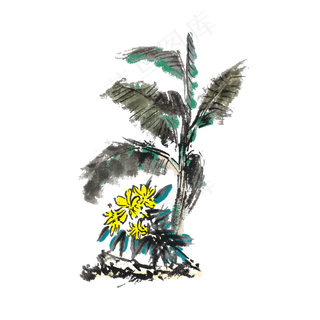 夏天芭蕉水墨手绘