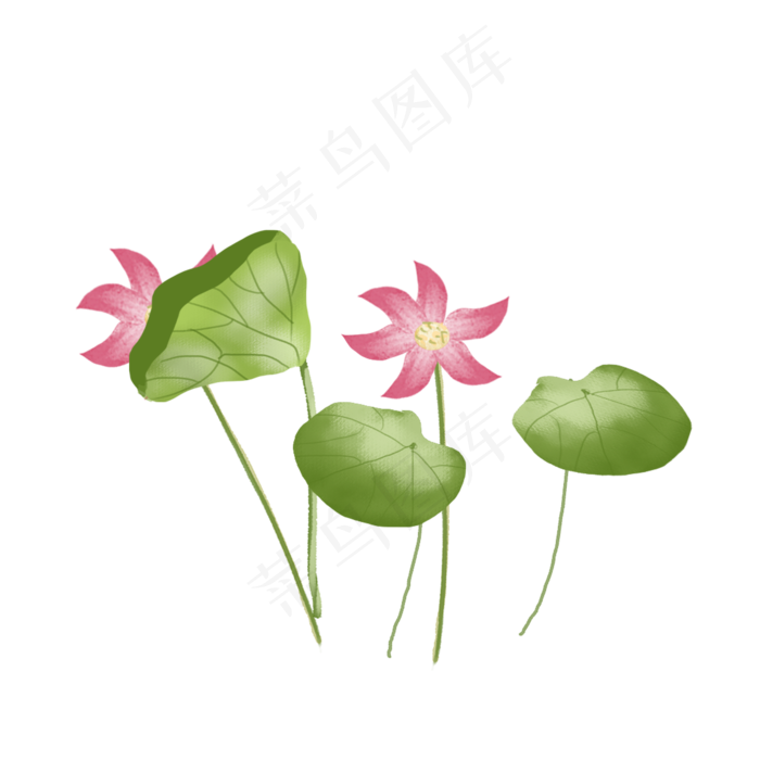 荷花绿色粉红(2000X2000(DPI:300))psd模版下载